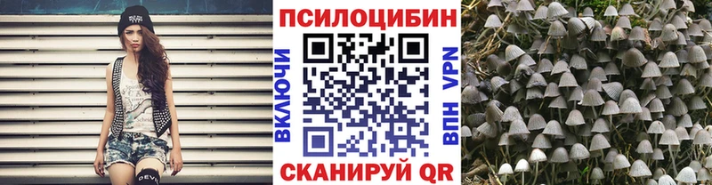 Галлюциногенные грибы Psilocybine cubensis  наркотики  Балашиха 