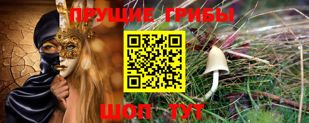 Галлюциногенные грибы прущие грибы Балашиха