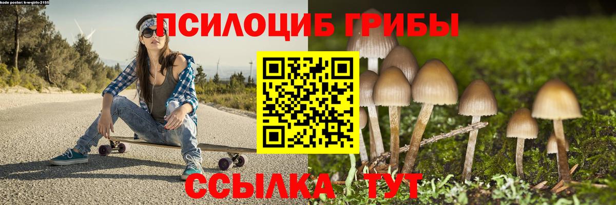 Псилоцибиновые грибы мицелий  Балашиха 