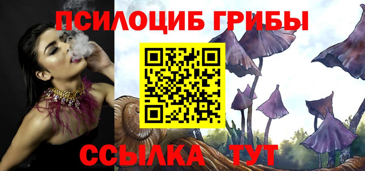 Балашиха  Псилоцибиновые грибы GOLDEN TEACHER  Вход с VPN 