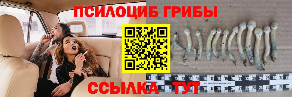 Псилоцибиновые грибы мицелий Балашиха